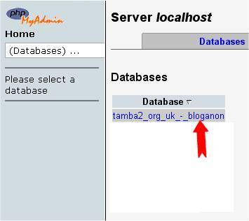 phpMyAdmin database select alt text